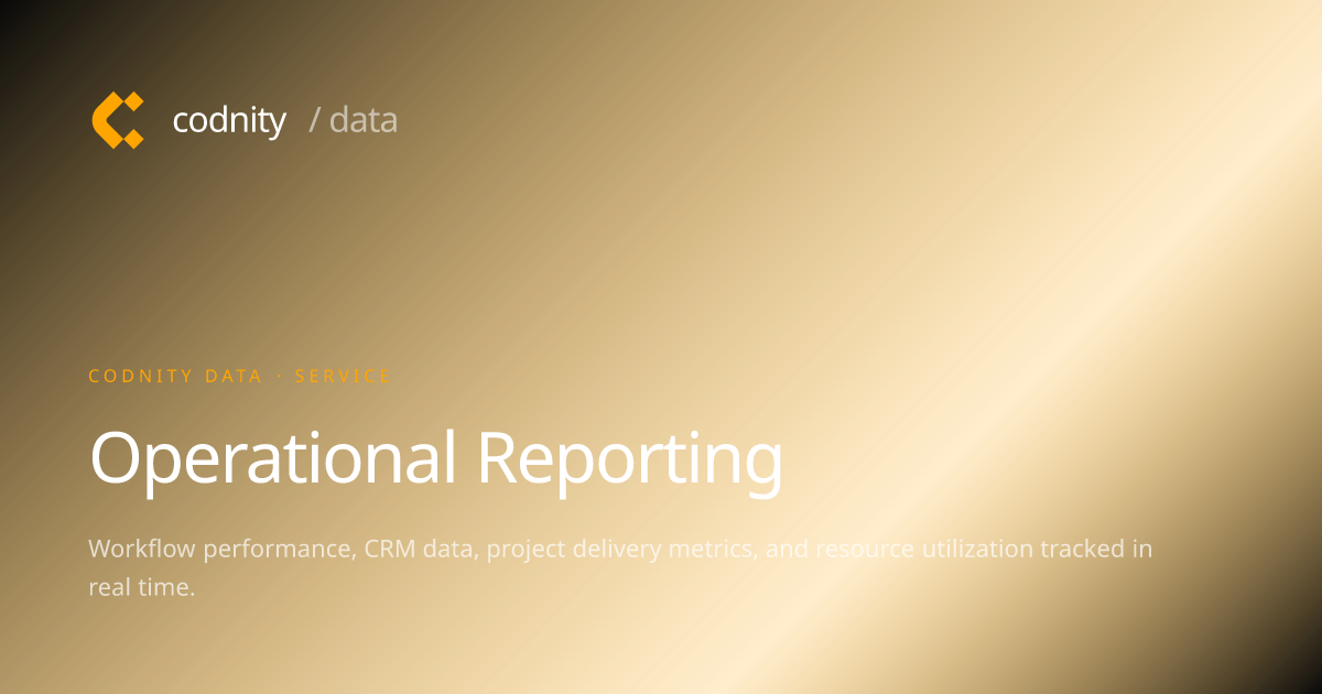 Operational Reporting & Performance Analytics | Codnity Data